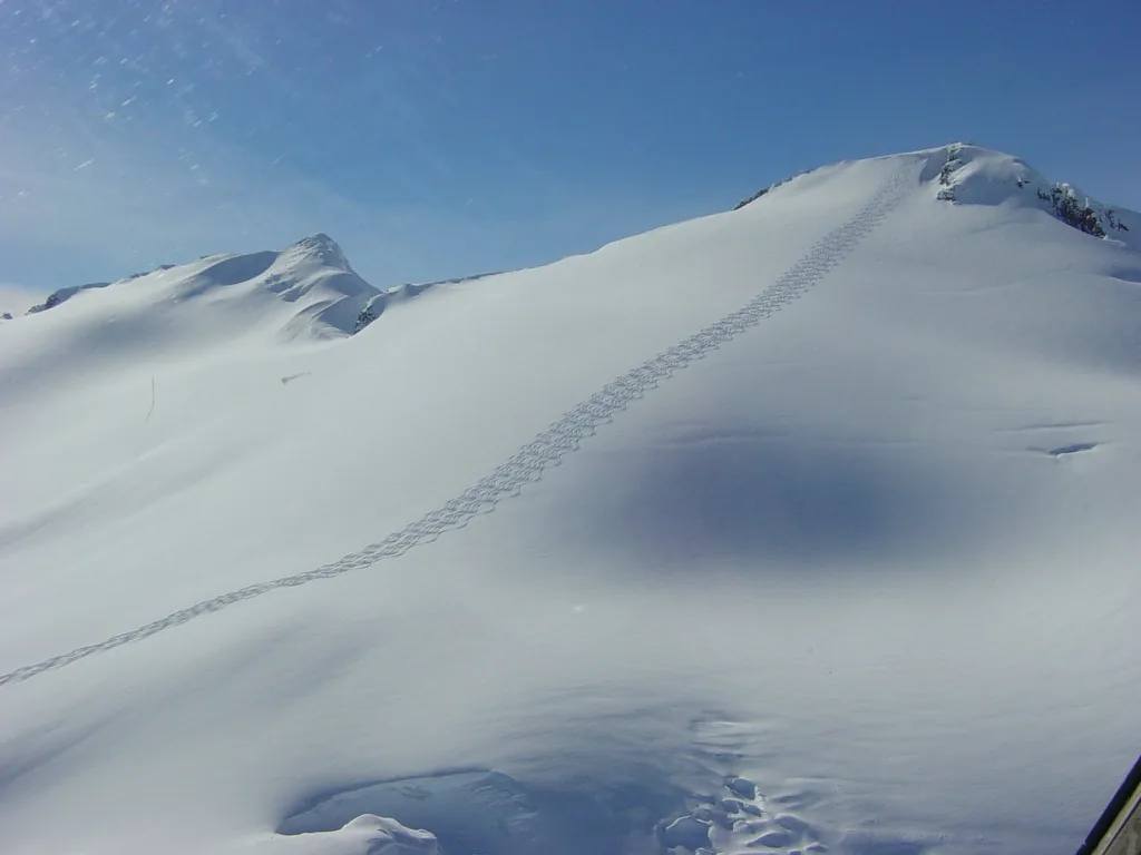 Skispor opp en bre under blå himmel i BC